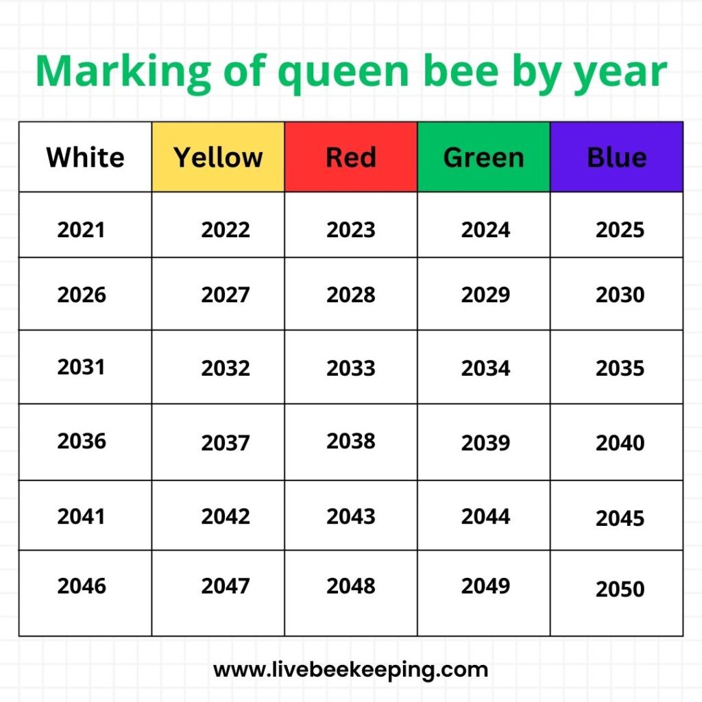 Queen Bee System Queen Bee System