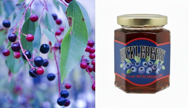 Huckleberry Honey: what it is, properties, price, and how to choose